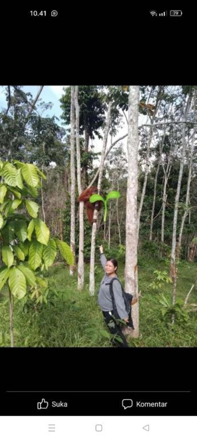 Day, Natural landscape