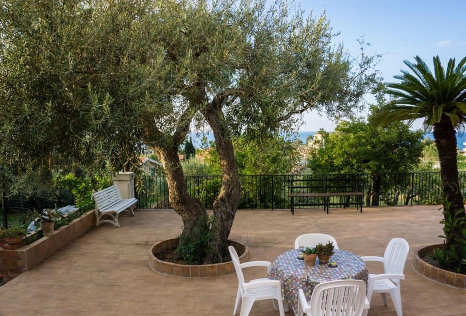 Garden, Dining area
