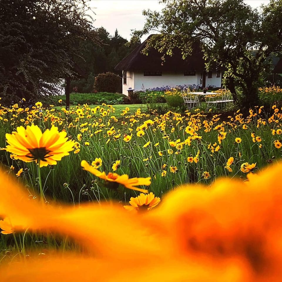 Garden, Garden view