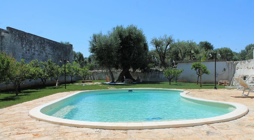 Activities, Garden, Pool view, Swimming pool