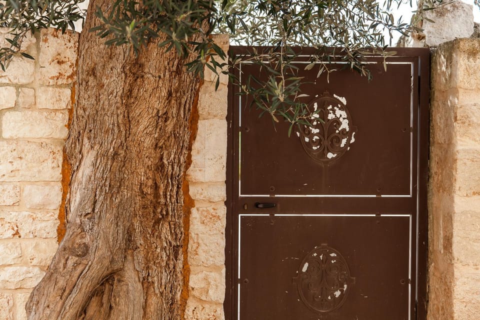 Property building, Facade/entrance, Swimming pool, Swimming pool