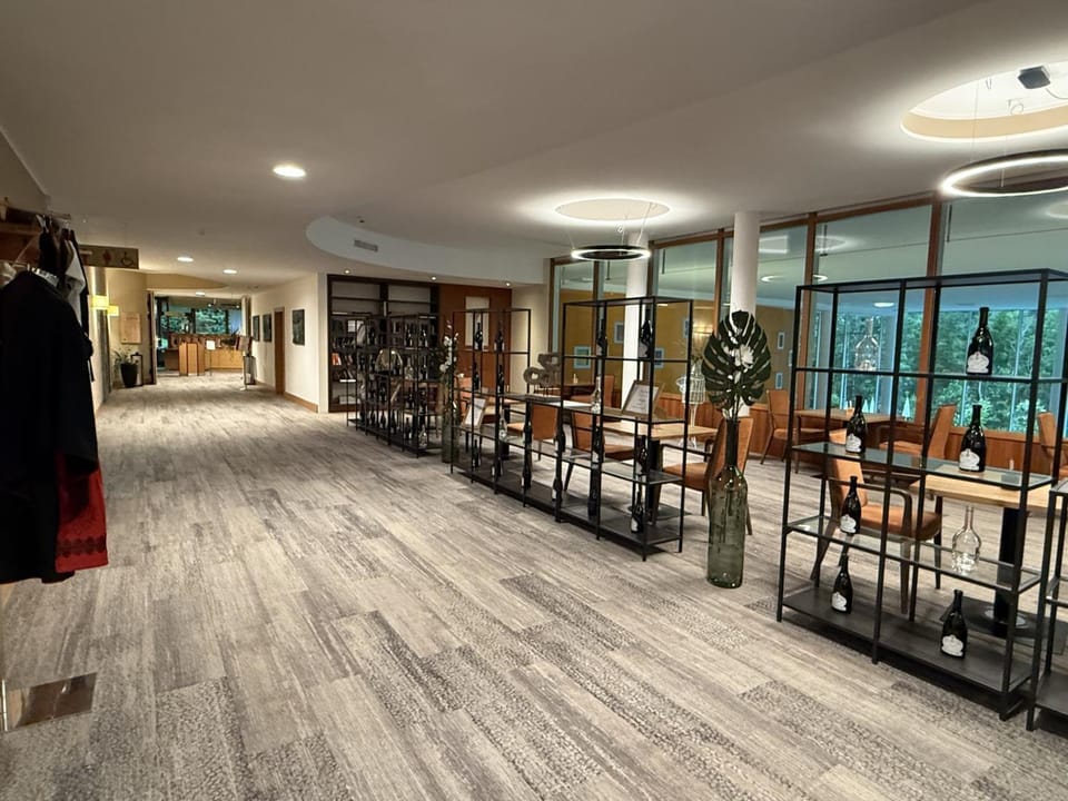 Vivea Hotel Umhausen im Ötztal Hotel in Tyrol