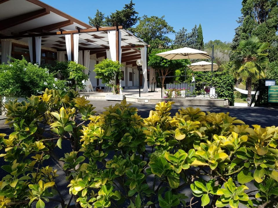 Property building, Garden, Balcony/Terrace