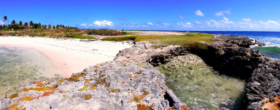 Natural landscape, Beach, Beach, Garden view, Sea view