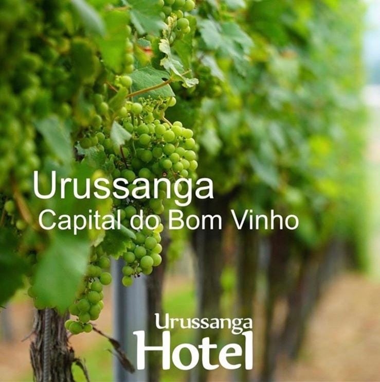 Urussanga Hotel Hotel in State of Santa Catarina