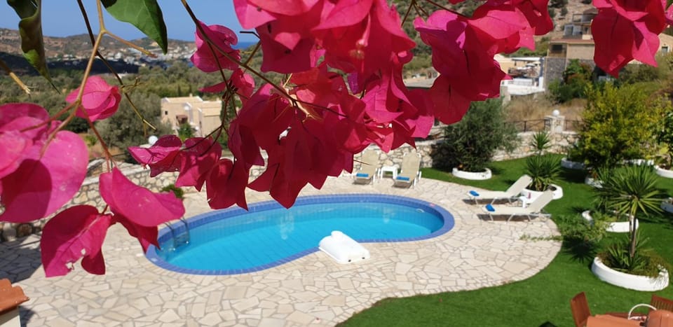 Pool view, Swimming pool, Swimming pool