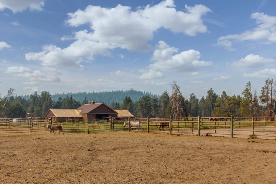Circle 4 Ranch 31 | Discover Sunriver House in Sunriver