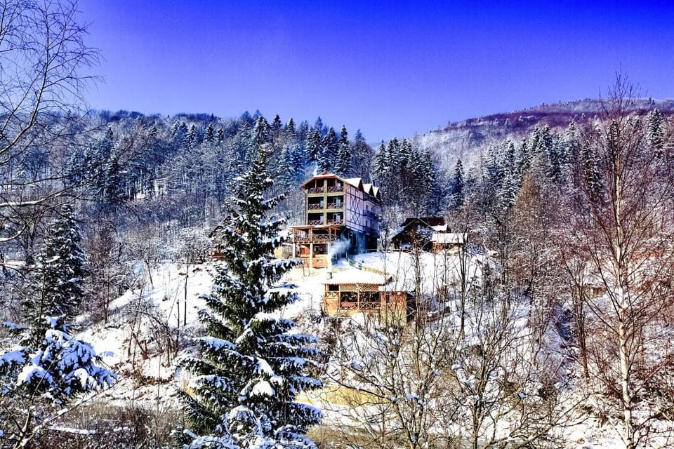 Gutsulska rodzynka Inn in Ukraine