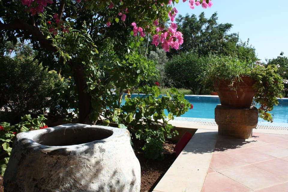Garden, Pool view
