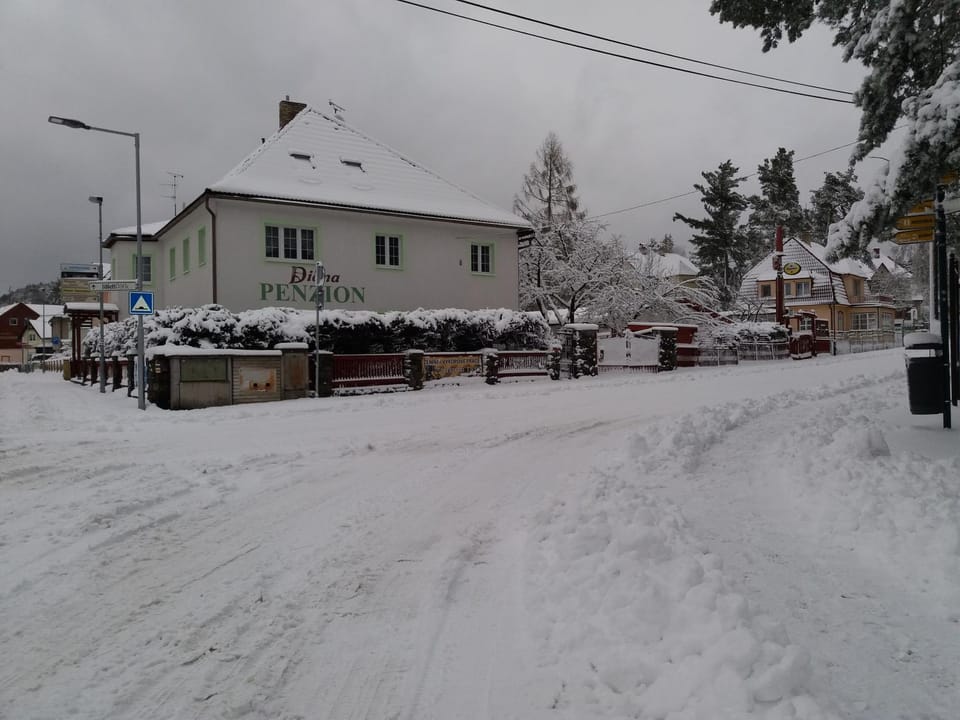 Winter
