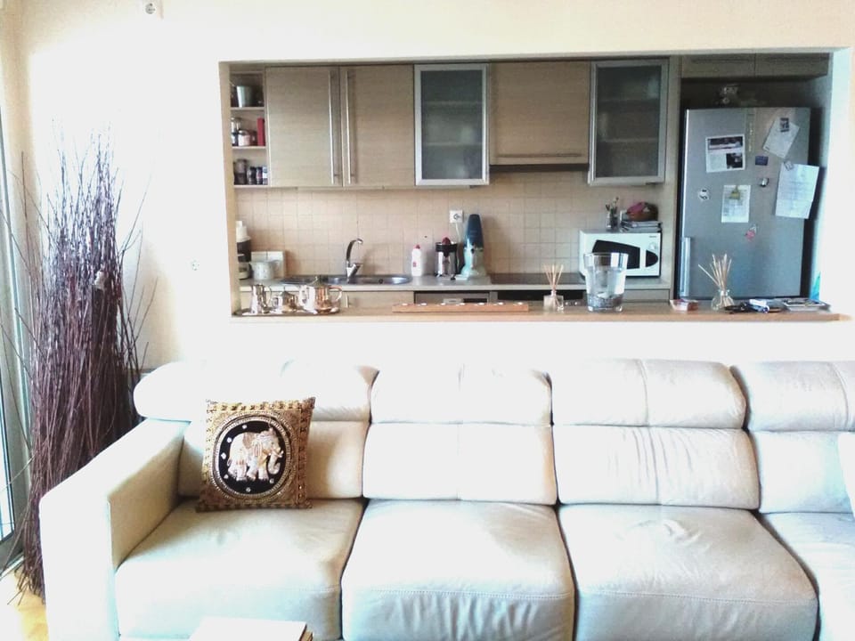 Kitchen or kitchenette, Living room, Seating area