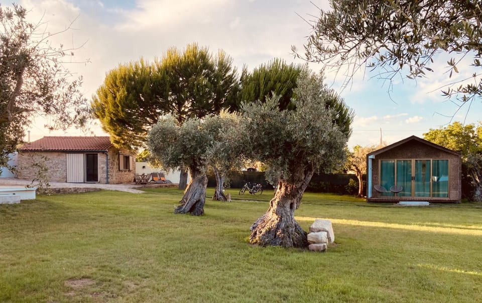 Property building, Garden, Garden