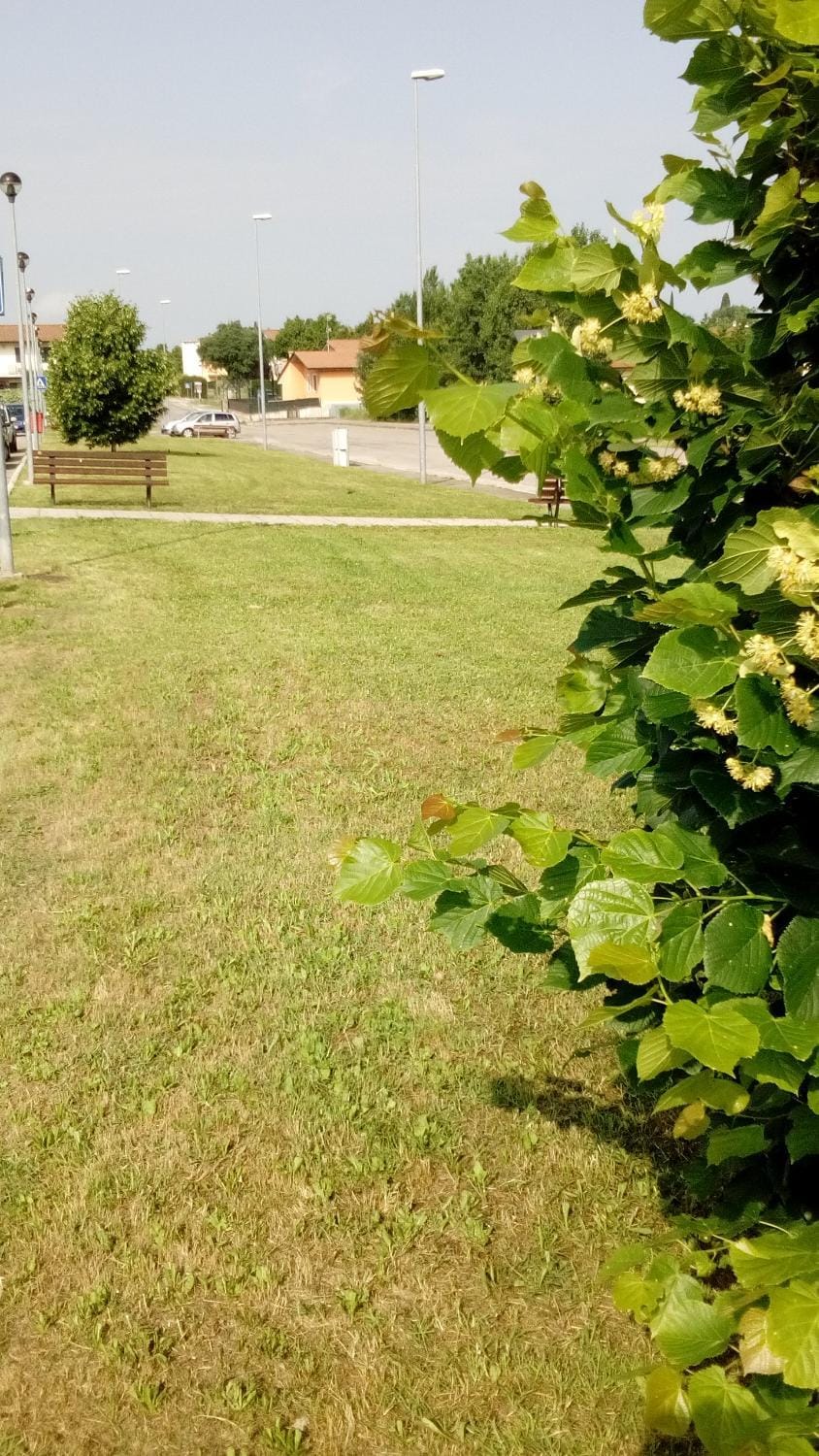 Neighbourhood