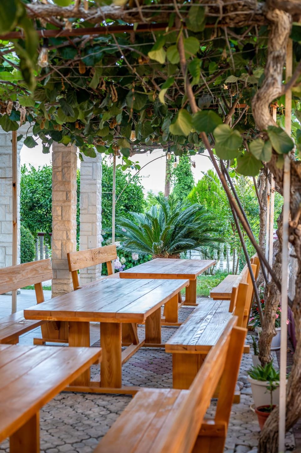 Garden, Banquet/Function facilities, Garden view