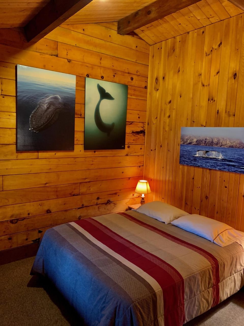 Vipilodge Nature lodge in Nova Scotia