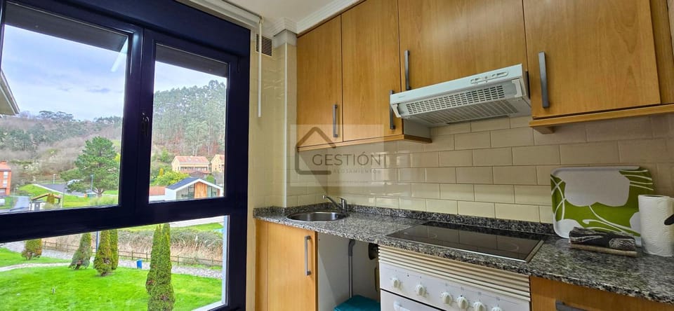 Kitchen or kitchenette, Photo of the whole room, Decorative detail, microwave, oven
