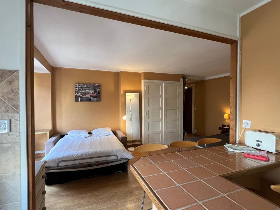 36 M2 between Presqu'île and university Apartment in Lyon