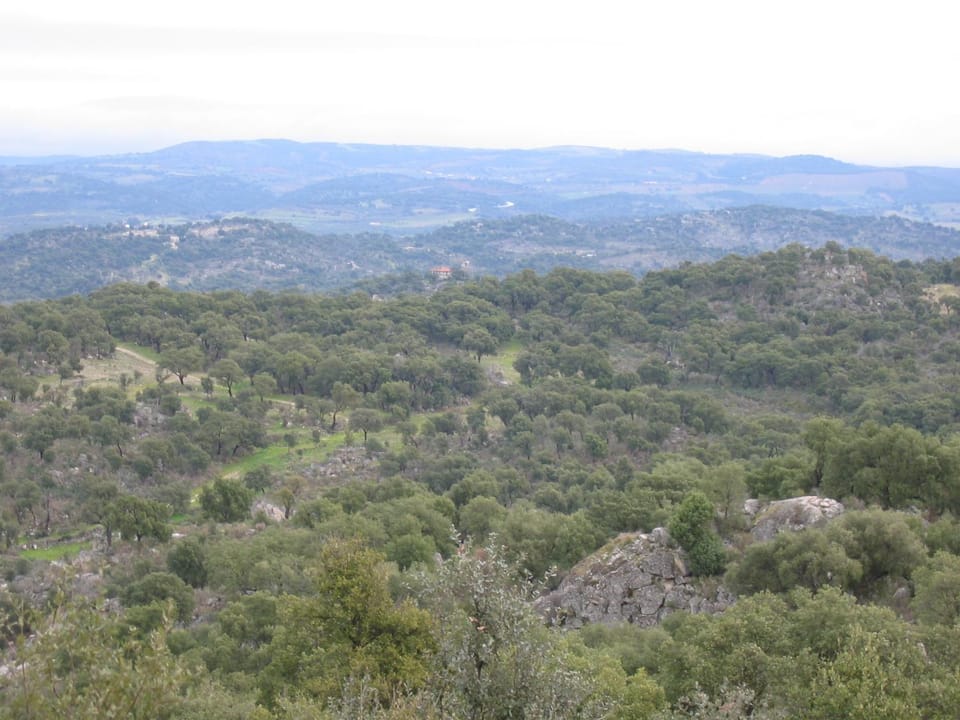 Hiking