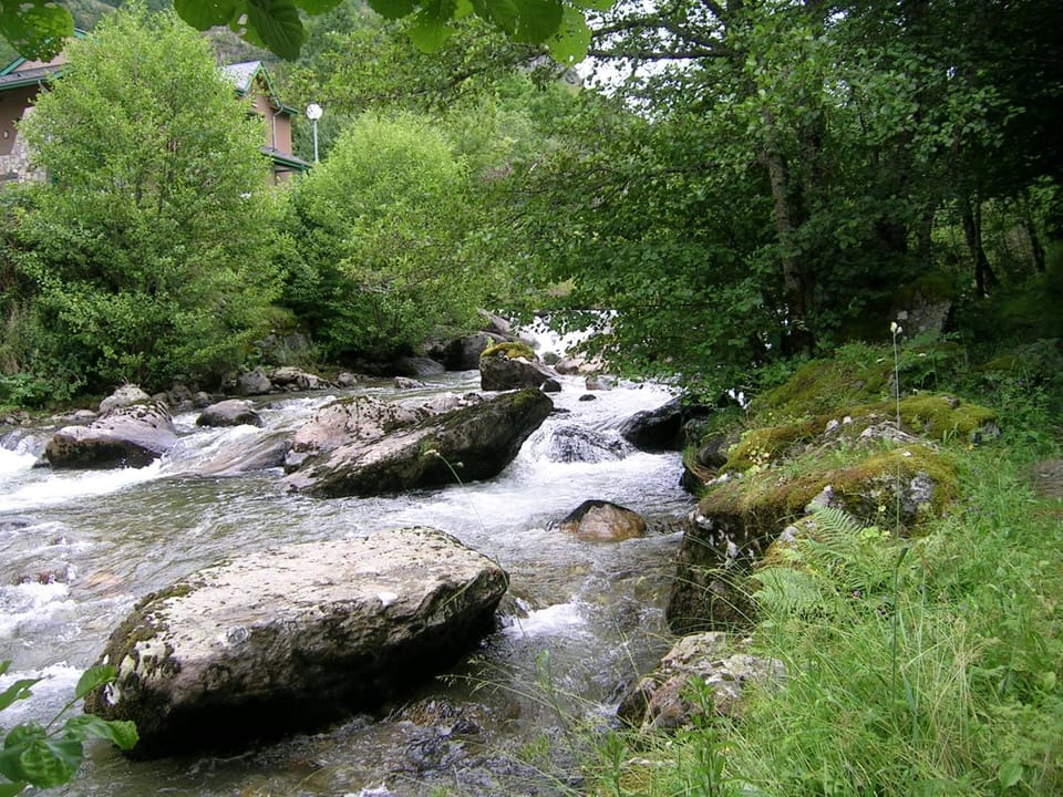 River view