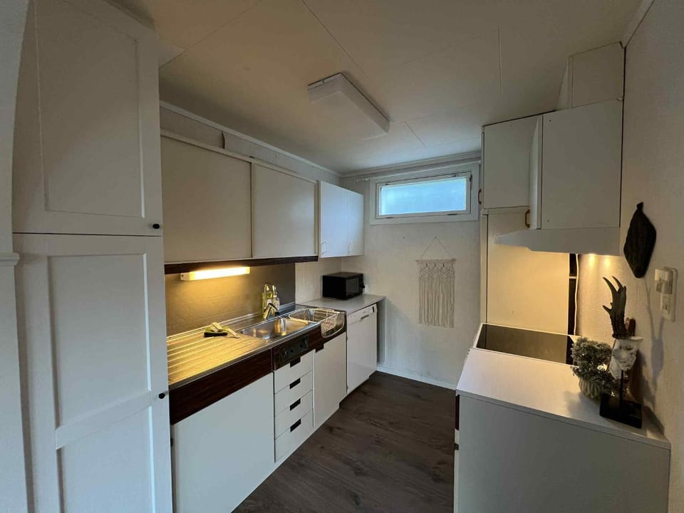 Kitchen or kitchenette, kitchen