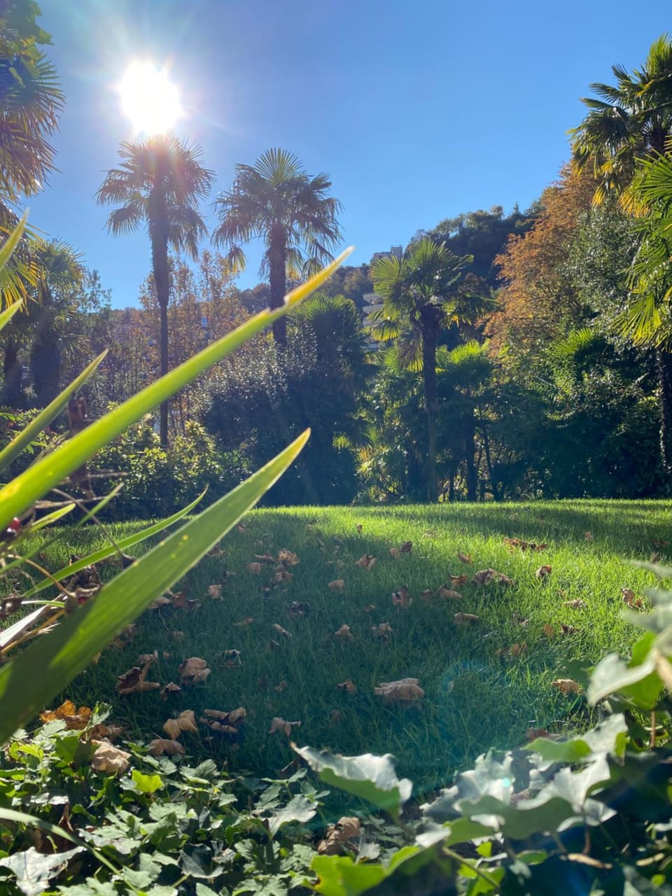Garden, View (from property/room), Decorative detail, Garden view