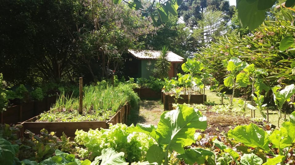Area and facilities