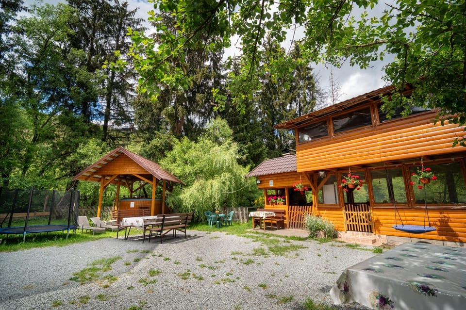 Pensiunea Viorica Bed and Breakfast in Cluj County
