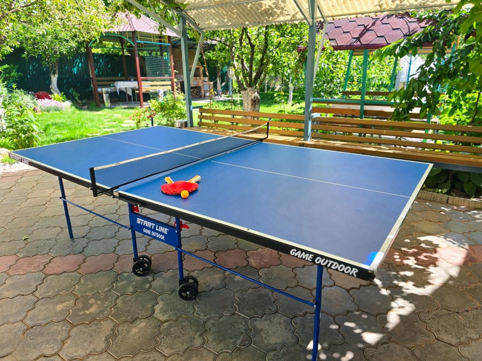 Table tennis