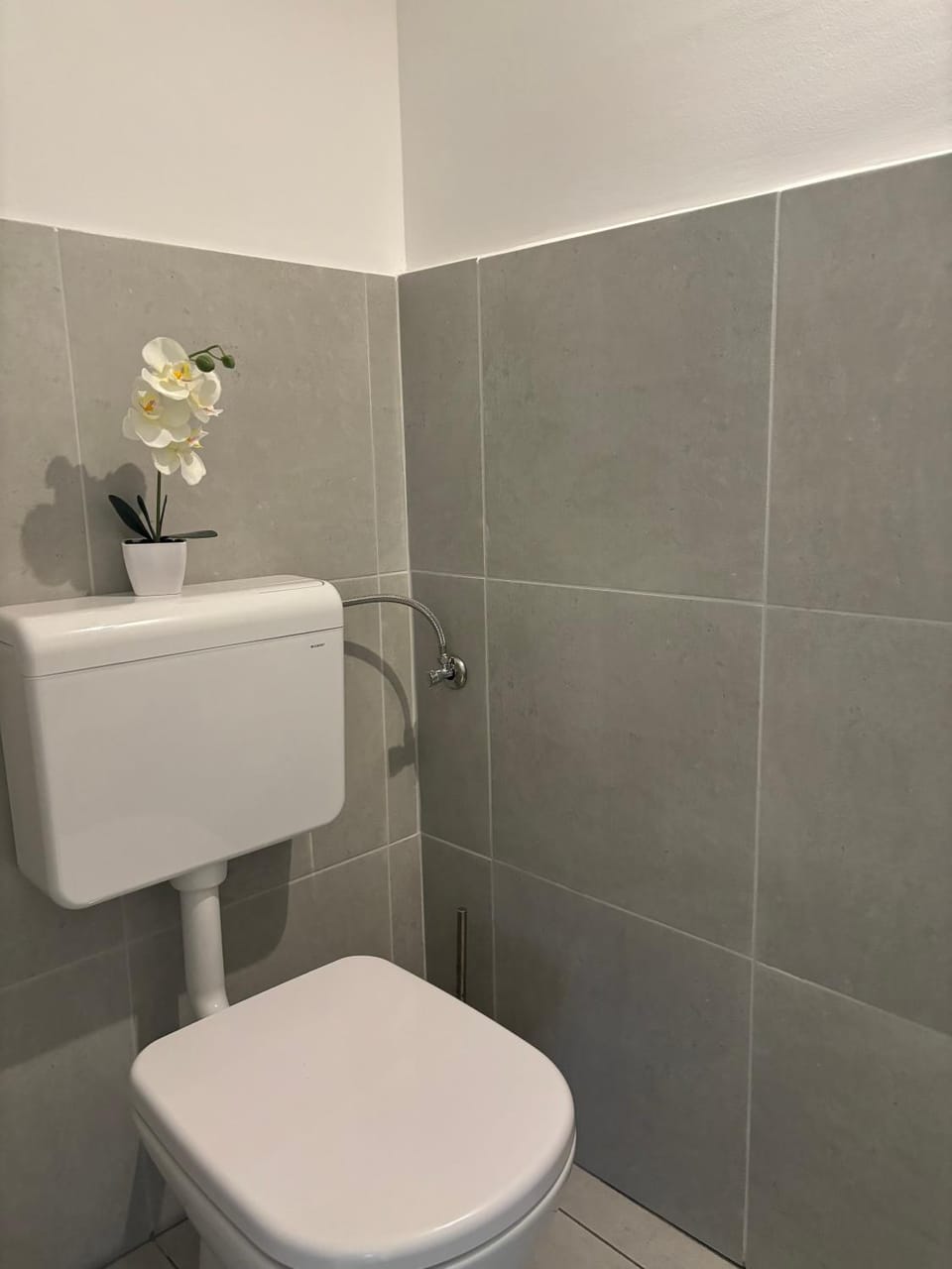 Apartment Villa Two Palms Apartment in Dubrovnik-Neretva County