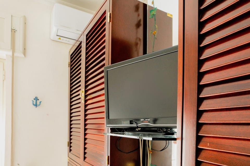 TV and multimedia, air conditioner