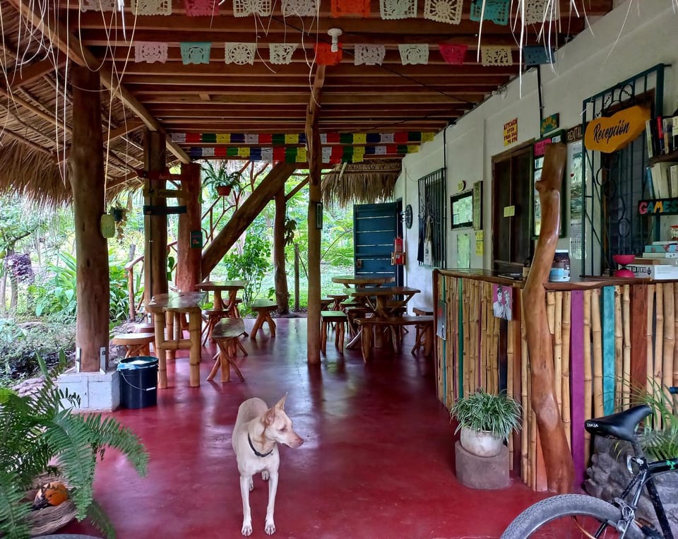 Restaurant/places to eat, Lobby or reception
