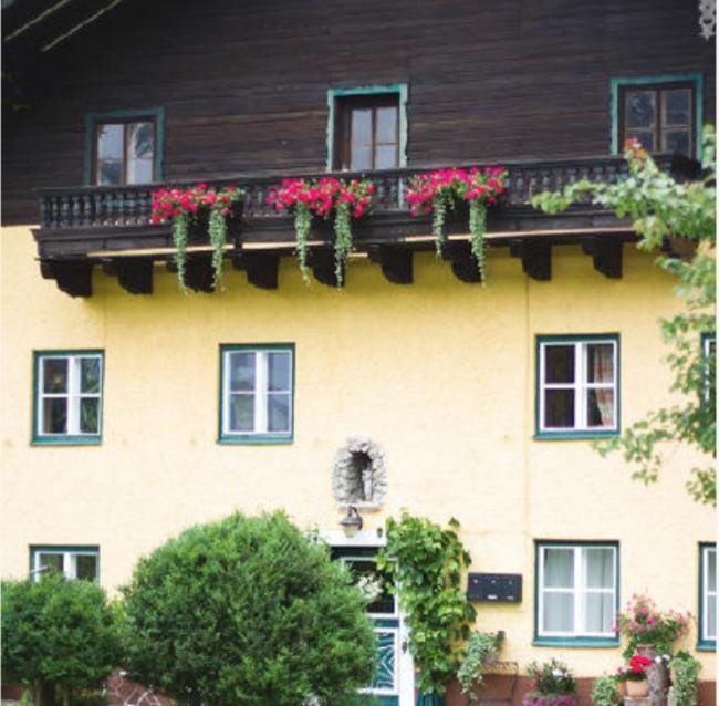 Ferienwohnung Alpenblick Apartment in Salzburgerland