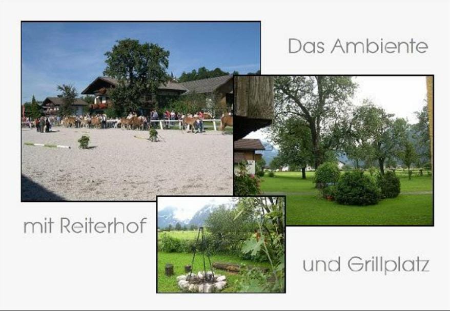 Horse-riding, Hiking, Cycling