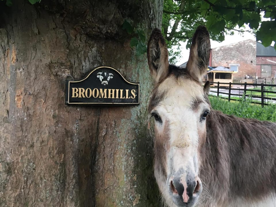 Property logo or sign, Animals