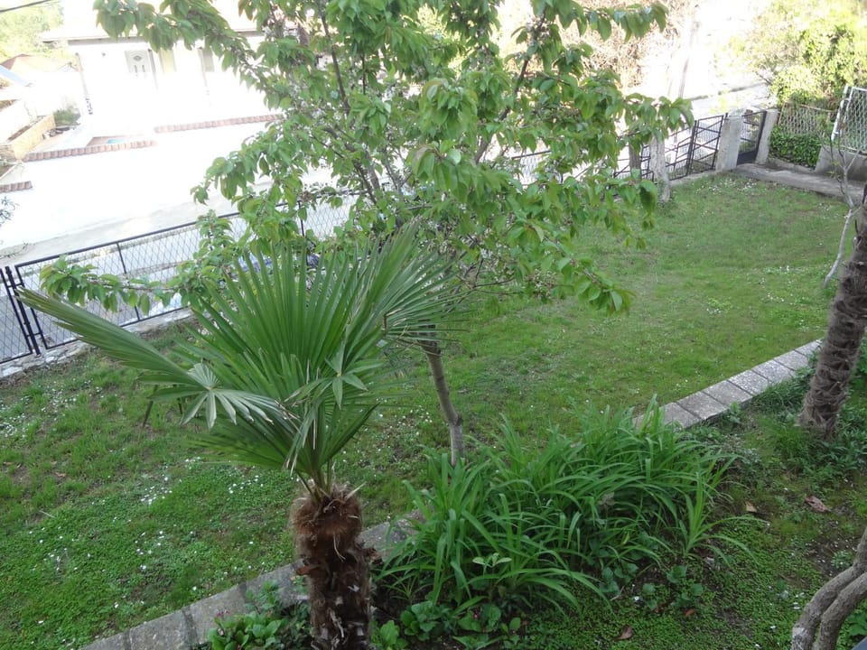 Spring, Day, Natural landscape, Garden, Garden view