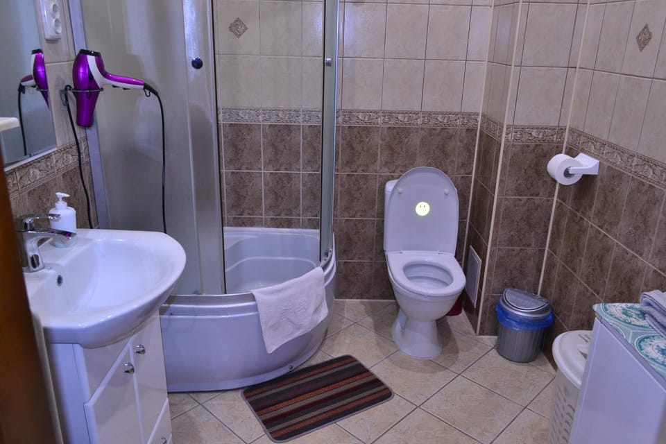 Shower, Toilet, towels