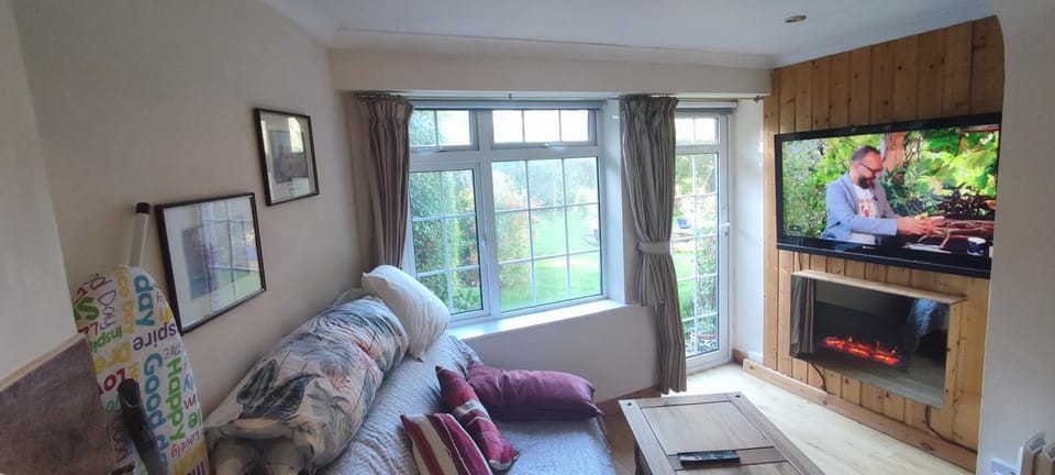 TV and multimedia, Living room, Garden view