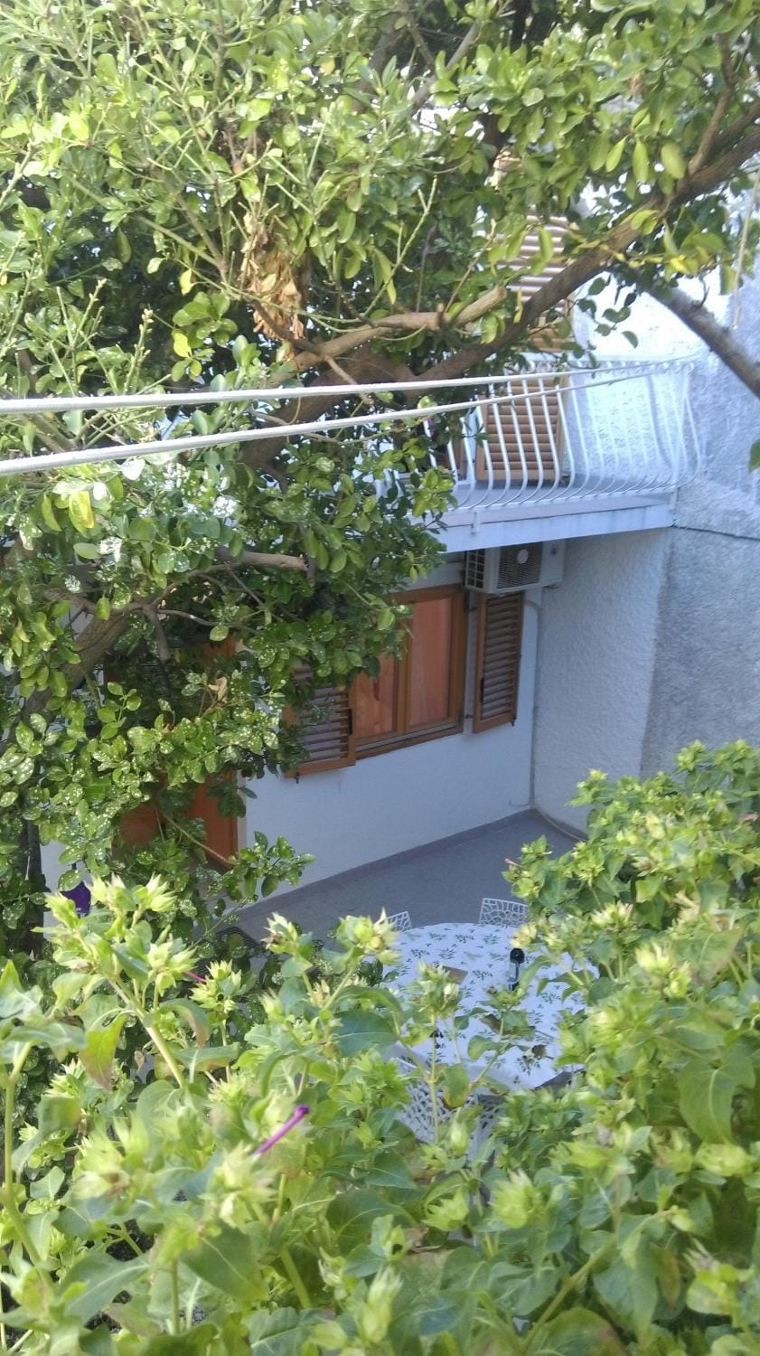 Property building, Garden