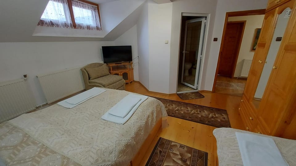 Shower, Toilet, Bed, Bathroom, TV and multimedia, Photo of the whole room, Bedroom, towels, wardrobe