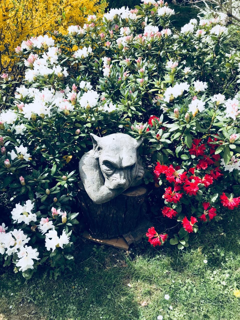 Garden view