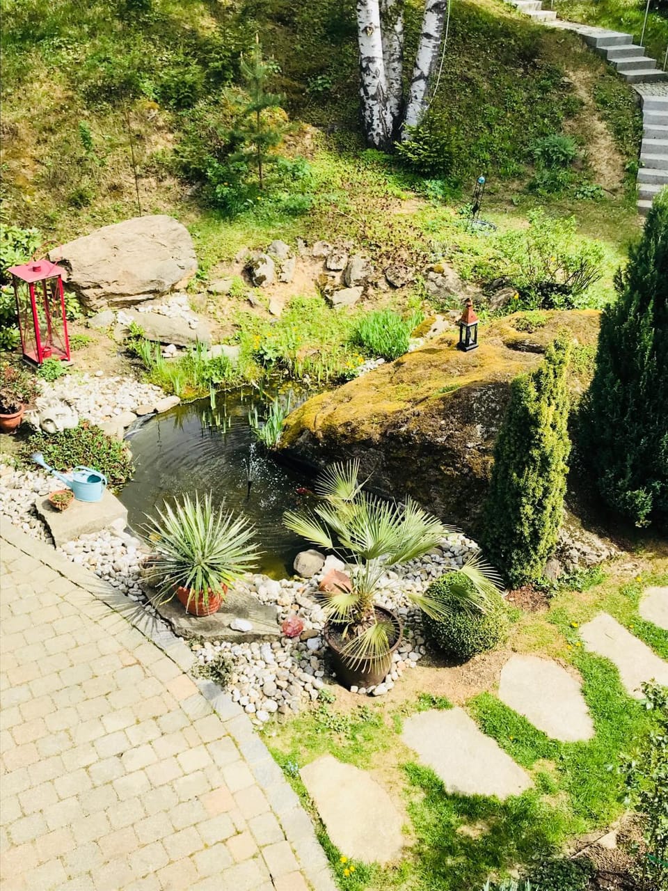 Garden view