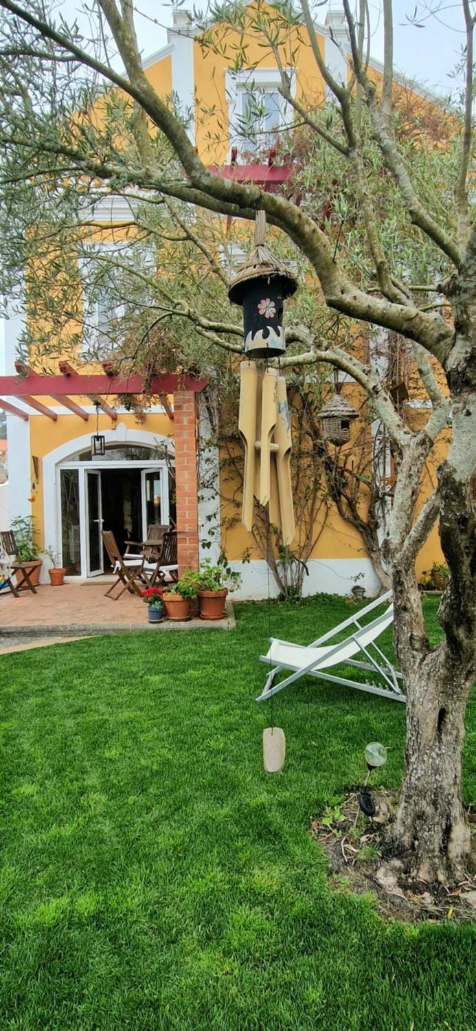 Garden view