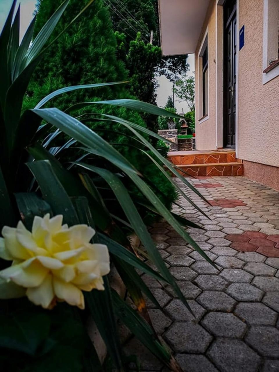 Patio, Decorative detail