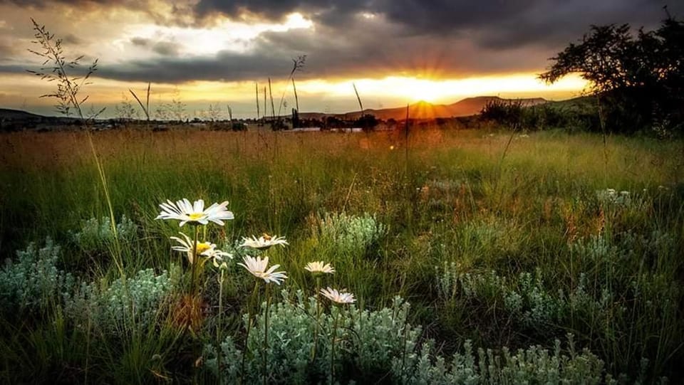 Wetlands Country House & Sheds Bed and Breakfast in KwaZulu-Natal