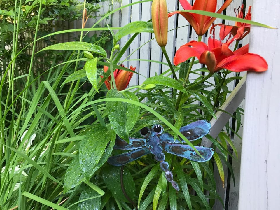 Garden view