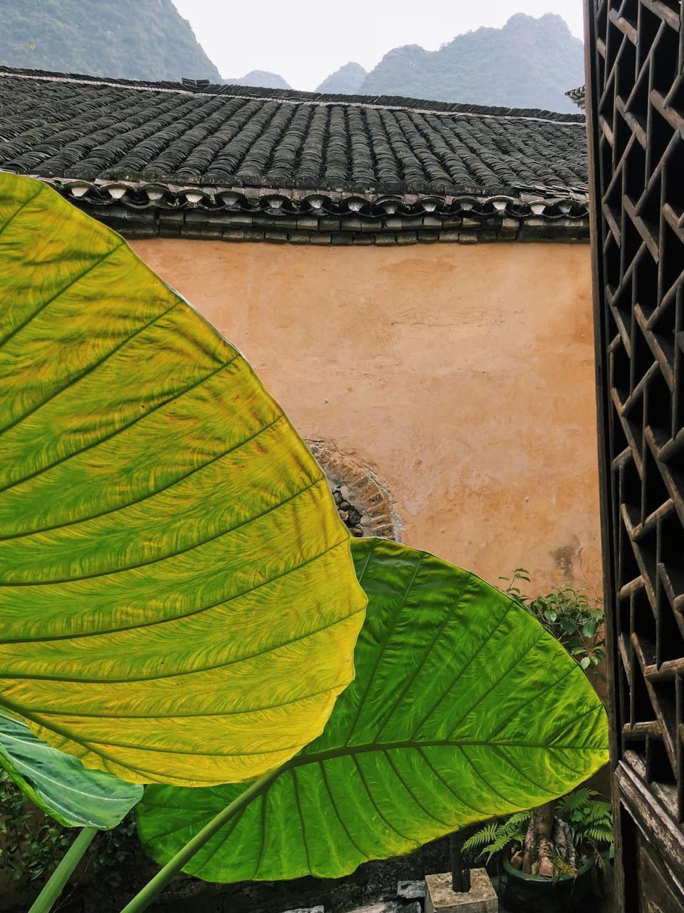Garden, Balcony/Terrace, Garden view
