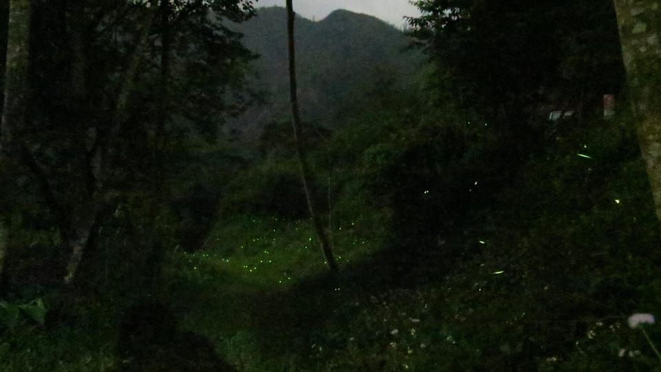 Walk Cloud Bed and Breakfast Nature lodge in Fujian