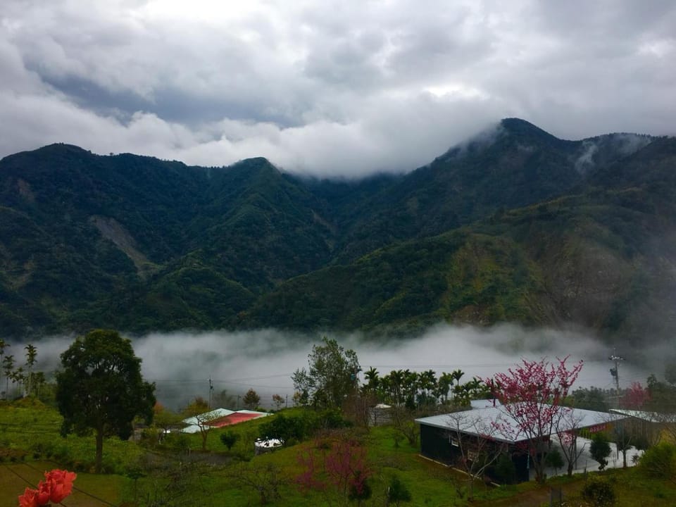 Mountain view