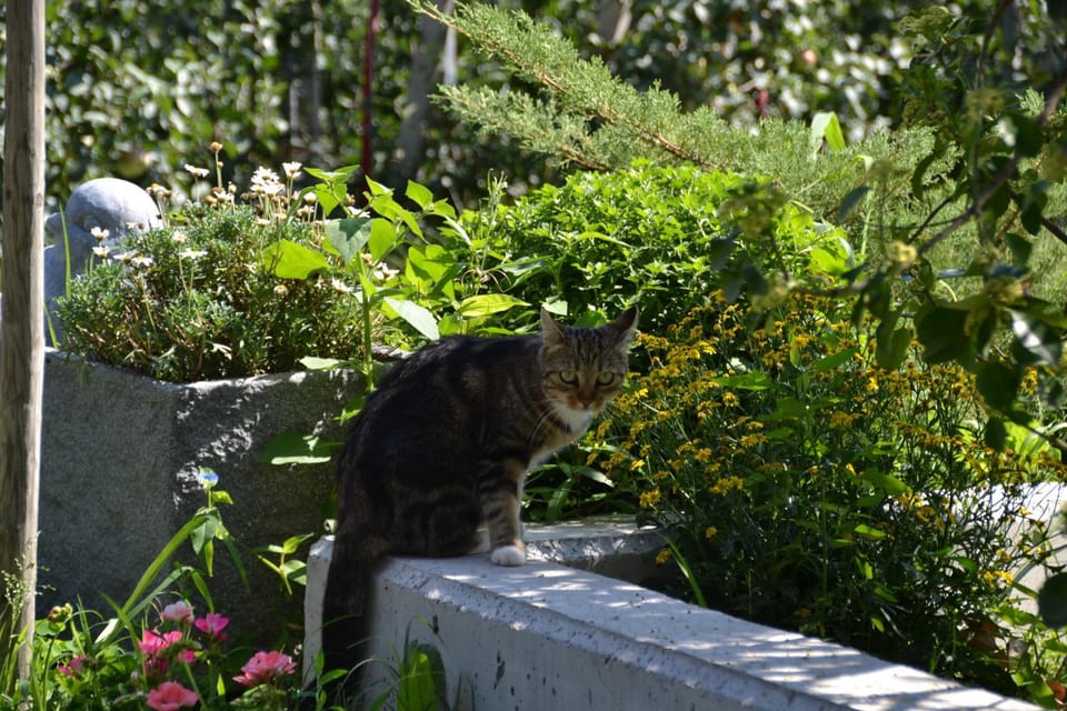 Burggräflerhof Farm Stay in Trentino-South Tyrol