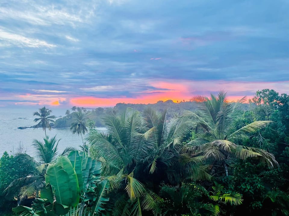 Amour Surf Hotel in Tangalle